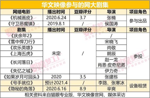 6億保底《李娜傳》背后 起底華文映像的急速進階史